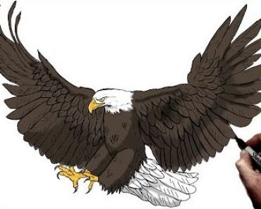 How to Drawing Eagle (Hunting) Step by Step