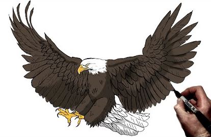 Hyperrealistic Bald Eagle Drawing / Time-lapse - PaintingTube