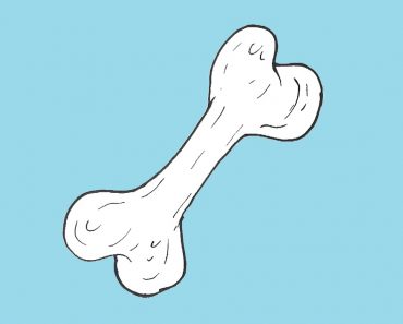 How to draw A Dog Bone Step by Step