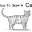 How to draw A Tabby Cat Step by Step