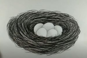 How to draw Bird Nest and Egg