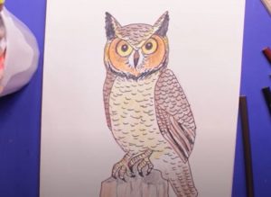 How to draw a Great Horned Owl