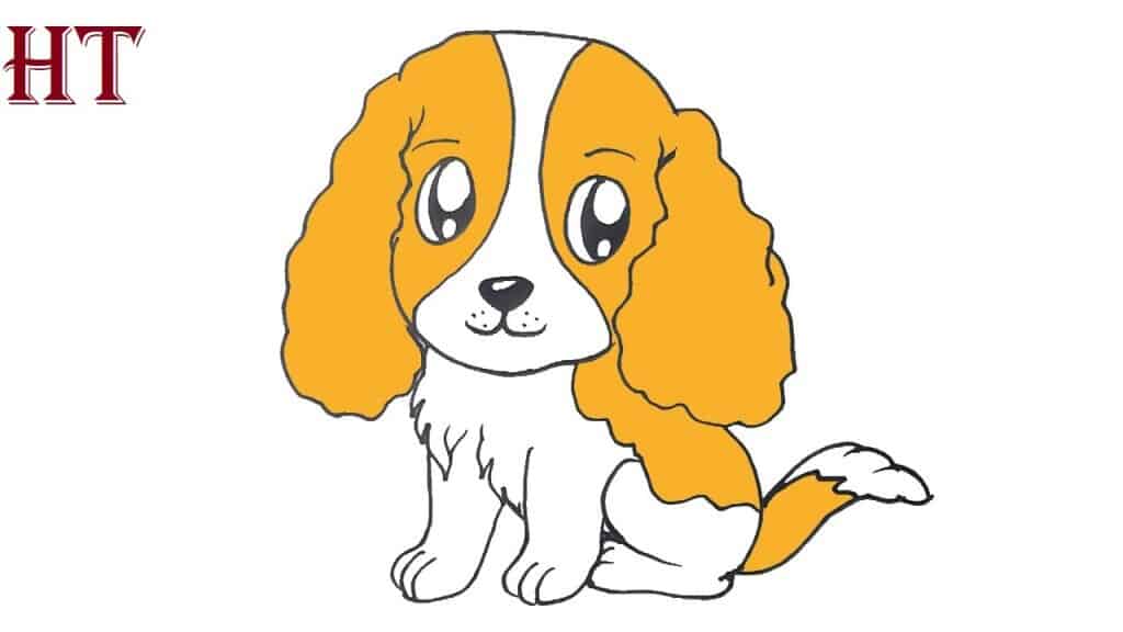 how to draw a cocker spaniel