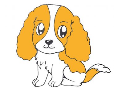 How to draw a Cocker Spaniel Step by Step || Cute Dog Drawing