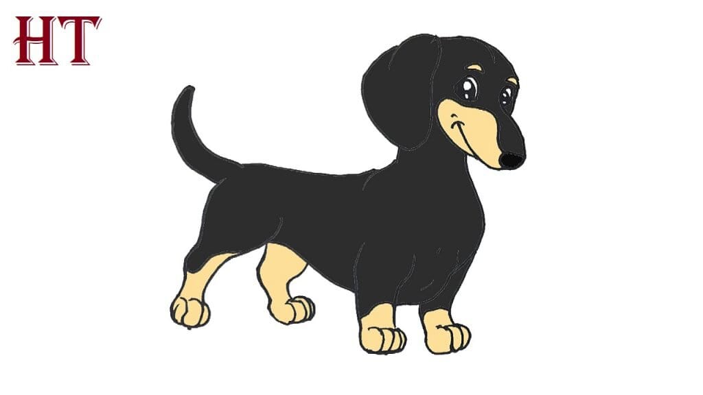 how to draw a dachshund