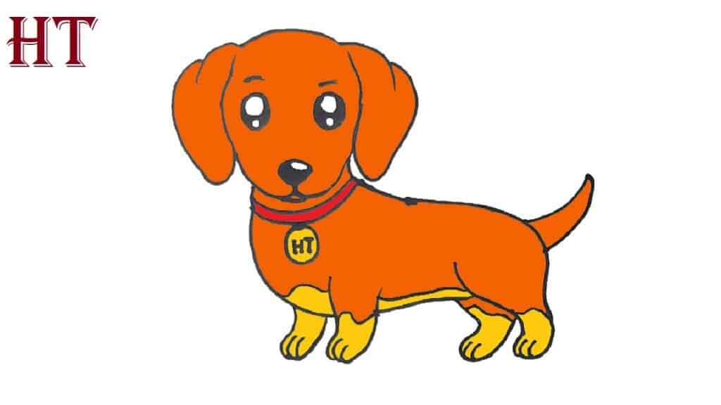 how to draw a sausage dog