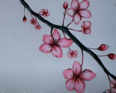 Cherry Blossom Drawing Step by Step || How to draw a Flower