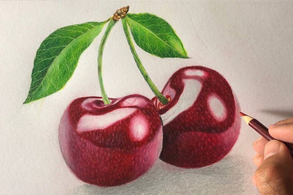 Cherry Fruit Drawing Step By Step Tutorial