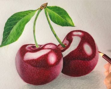 Cherry Fruit Drawing Step By Step Tutorial