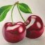 Cherry Fruit Drawing Step By Step Tutorial