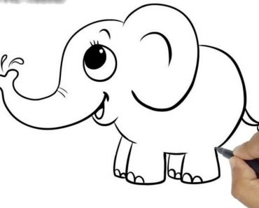 Easy Elephant Drawing for kids Step by Step