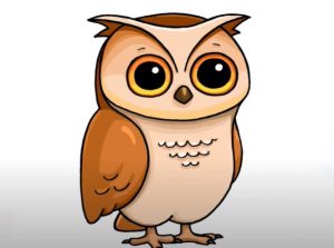 Easy Owl Drawing