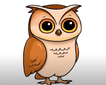 Easy Owl Drawing for Kids Step by Step
