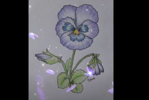How To Draw A Pansy Flower