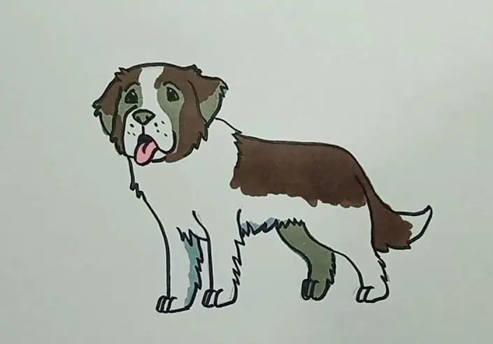 How to Draw a Saint Bernard