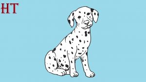 How to draw a Dalmatian Dog