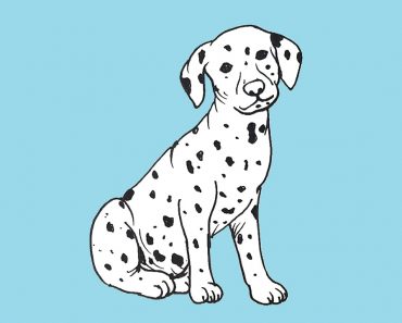 How to draw a Dalmatian Dog Step by Step Tutorial