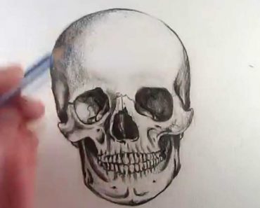 Human Skull Drawing Step by Step Tutorial