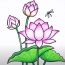 Lotus Flower Drawing Step by Step Tutorial