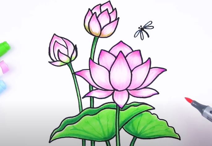 How to Draw a Lotus - How to Draw Easy