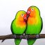 Lovebirds Drawing Step by Step Tutorial