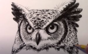 Owl Face Drawing Step-by-Step Tutorial