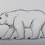 Polar Bear Drawing Step by Step Tutorial