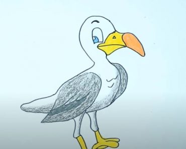 Seagull Drawing Step by Step Tutorial