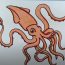 Squid Drawing Step by Step Tutorial