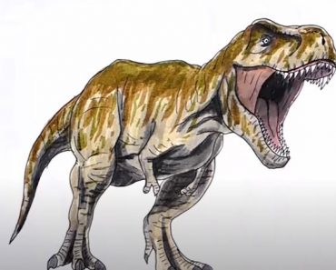 Tyrannosaurus Rex Drawing Step by Step Tutorial