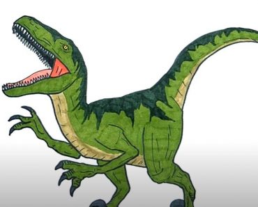 Velociraptor Drawing Step by Step || Dinosaur Drawing