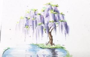 Willow Tree Drawing