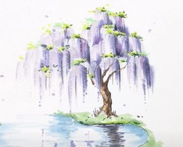 Willow Tree Drawing Step by Step Tutorial