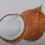 Coconut Drawing with color pencil Step by Step