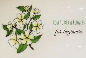 How To Draw Jasmine Flower