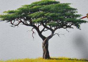 How to Draw a Acacia Tree