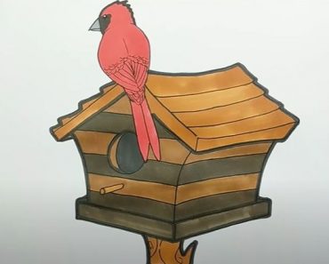 How to Draw a Birdhouse Step by Step