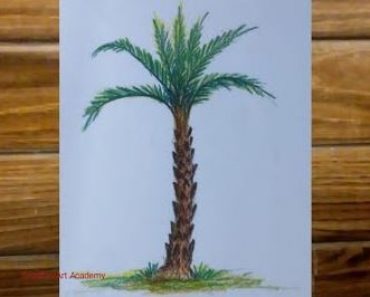 How to Draw a Date Palm Tree Step by Step