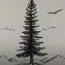 How to Draw a Fir Tree Step by Step