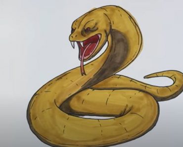 How to Draw a Viper Step by Step || Snake