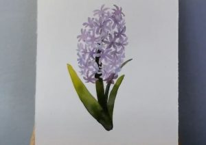 How to draw a Hyacinth