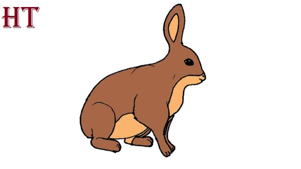 how to draw a hare