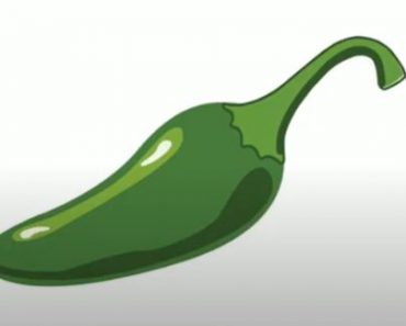 How To Draw A Jalapeno Step by Step