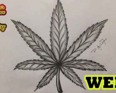 How To Draw A Pot Leaf Step by Step