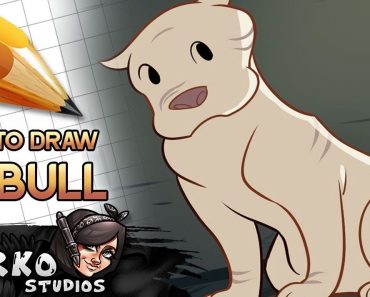 How to Draw A Pit Bull from Kitbull