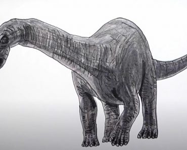 How to Draw a Diplodocus from Jurassic World