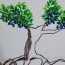 How to Draw a Mangrove Tree Step by Step