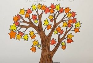 How to Draw a Maple Tree