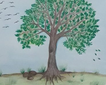 How to Draw a Neem Tree Step by Step