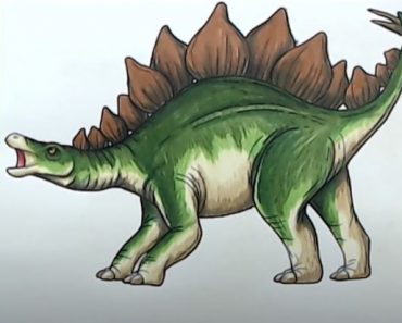 How to Draw a Stegosaurus Step by Step